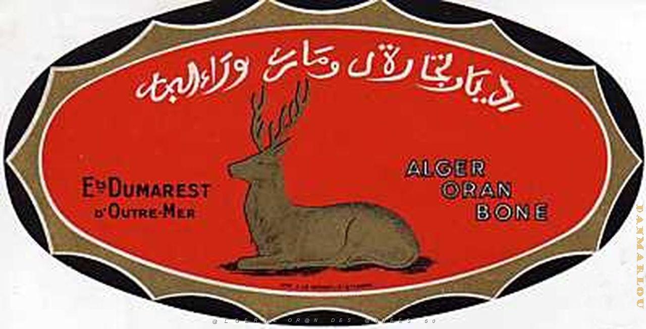 Oran Pub Alimentaire 110.jpg